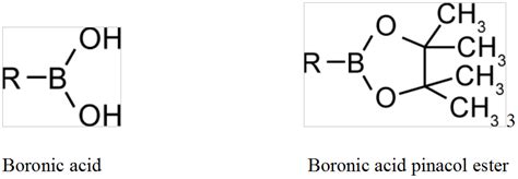 boronic|Boronic Acids 